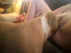 Cunnilingus with the canine